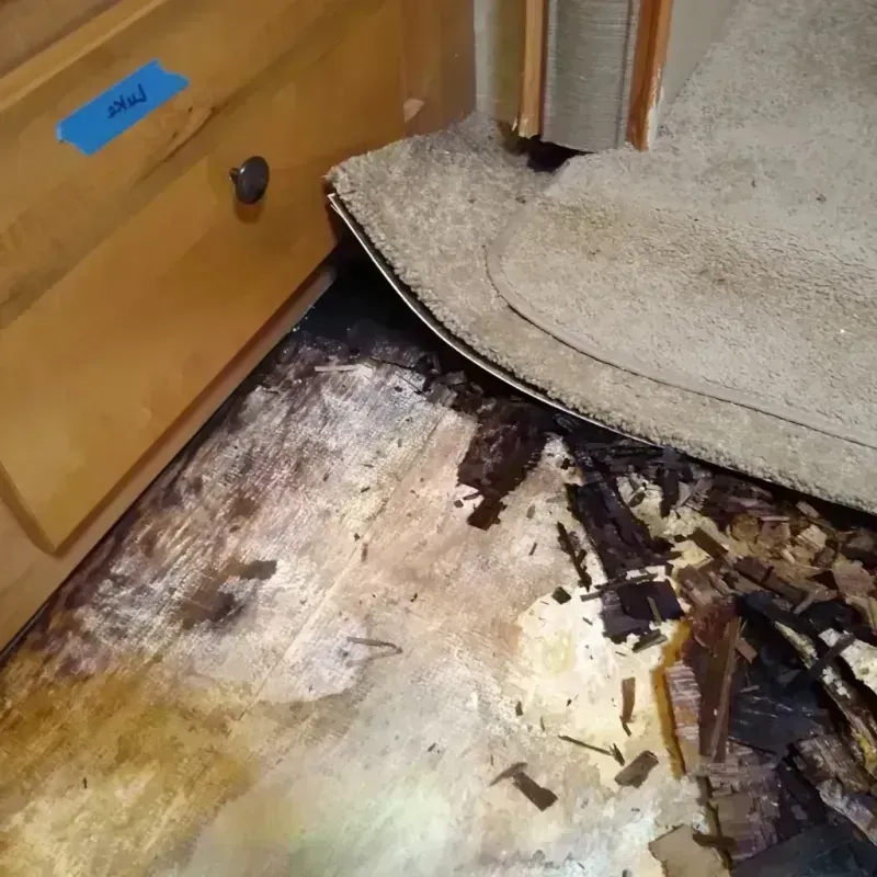 Best Wood Floor Water Damage Service in Highland Springs, VA